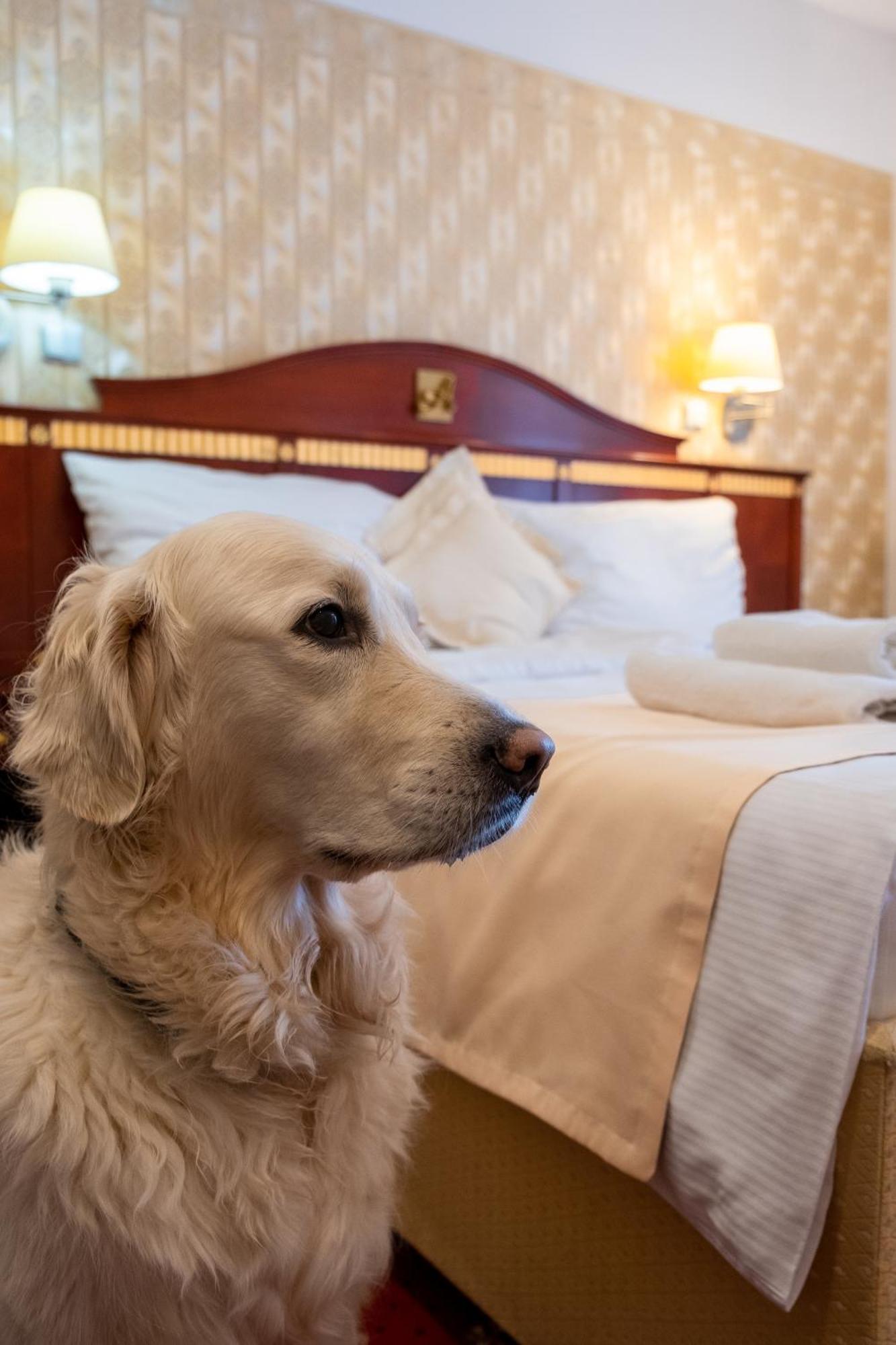 Hotel Tommy Wellness & Spa Náchod Eksteriør billede